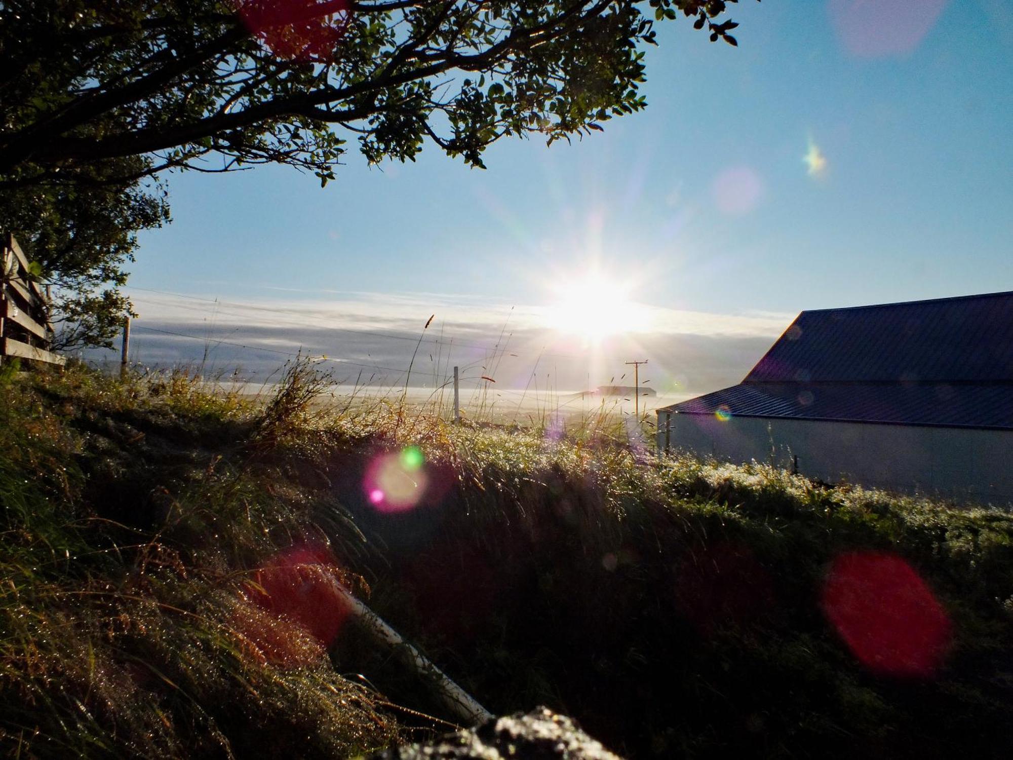Skidbakki Guesthouse Kross Eksteriør bilde